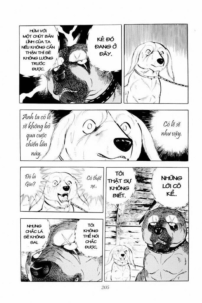 chú chó có nghĩa - ginga nagareboshi gin chapter 29 19