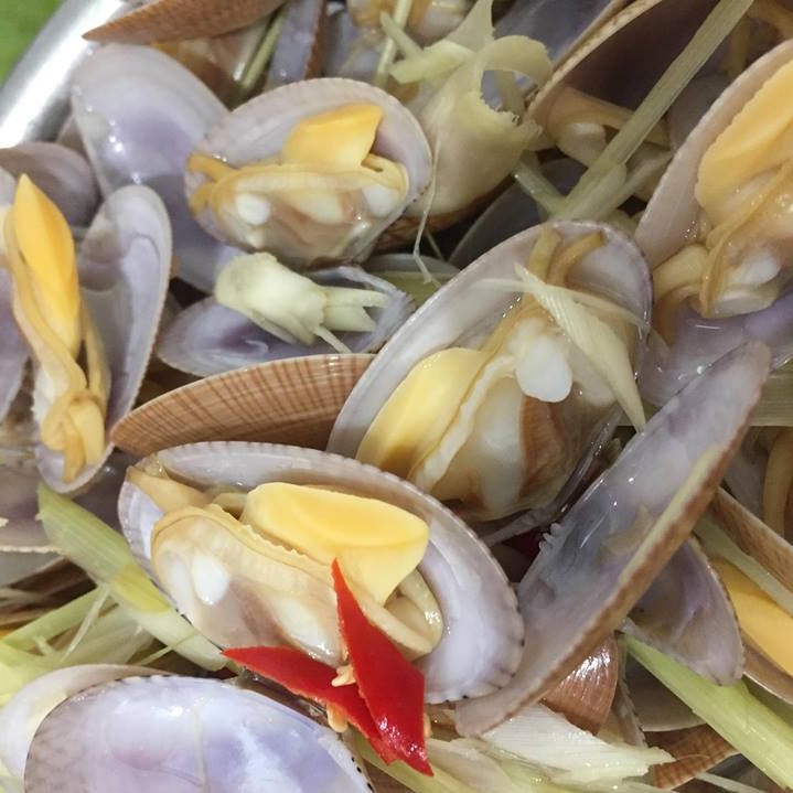 Ốc Chip Chip - Sò Lụa Sống