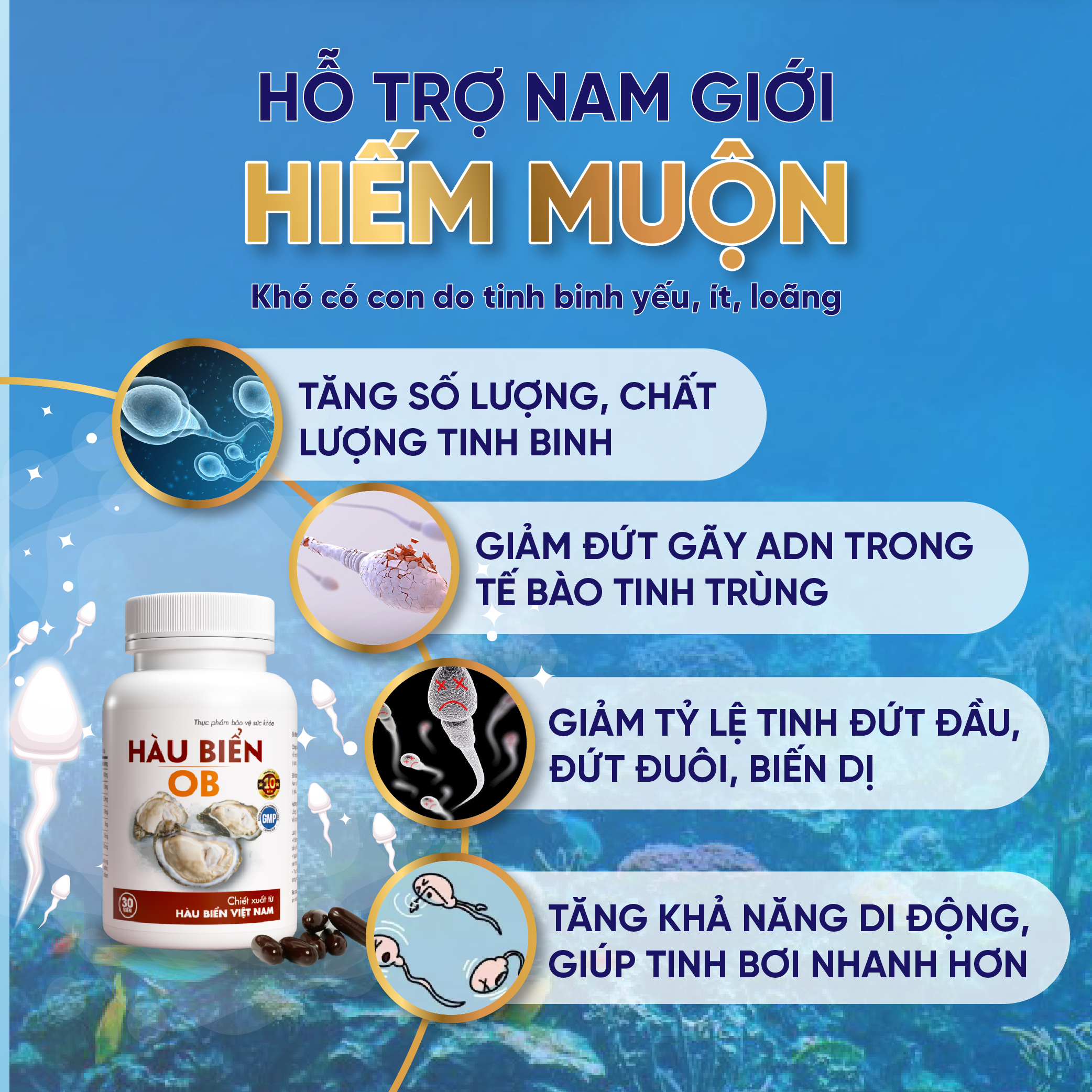 COMBO 2 HỘP Thực phẩm bảo vệ sức khỏe Hàu Biển OB - tăng cường sinh lý, trị xuất tinh sớm, Tăng sinh chất lượng tinh trùng (Hộp 30 viên)