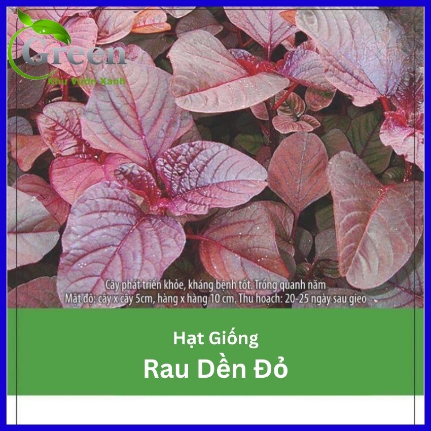 Hạt Giống Rau Dền Đỏ Mềm Ngon - 20 Gam