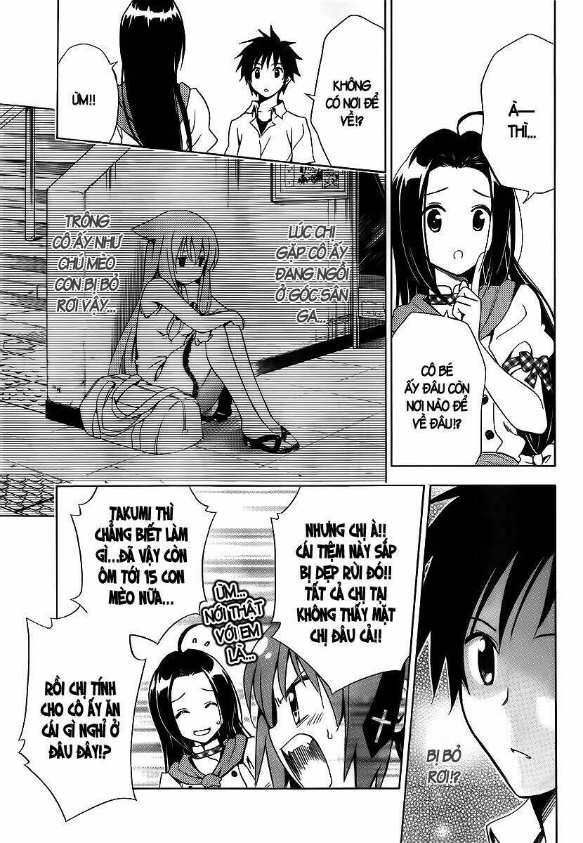 mayoi neko overrun! chapter 1 35