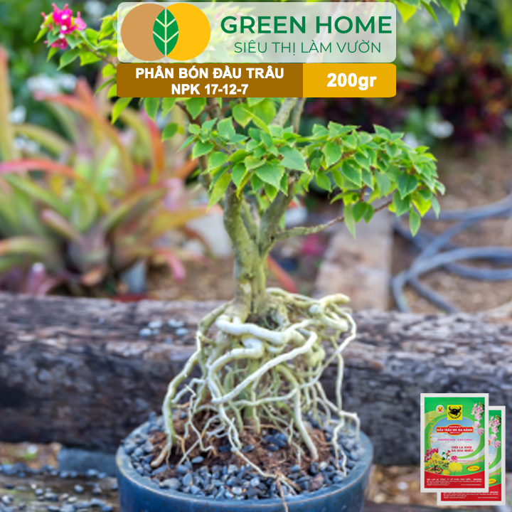 Phân NPK 17-12-7 Greenhome, Đầu Trâu, Bao 200Gr, Chồi Lá Khỏe - Ra Hoa Nhiều, Chuyên Hoa Và Cây Cảnh