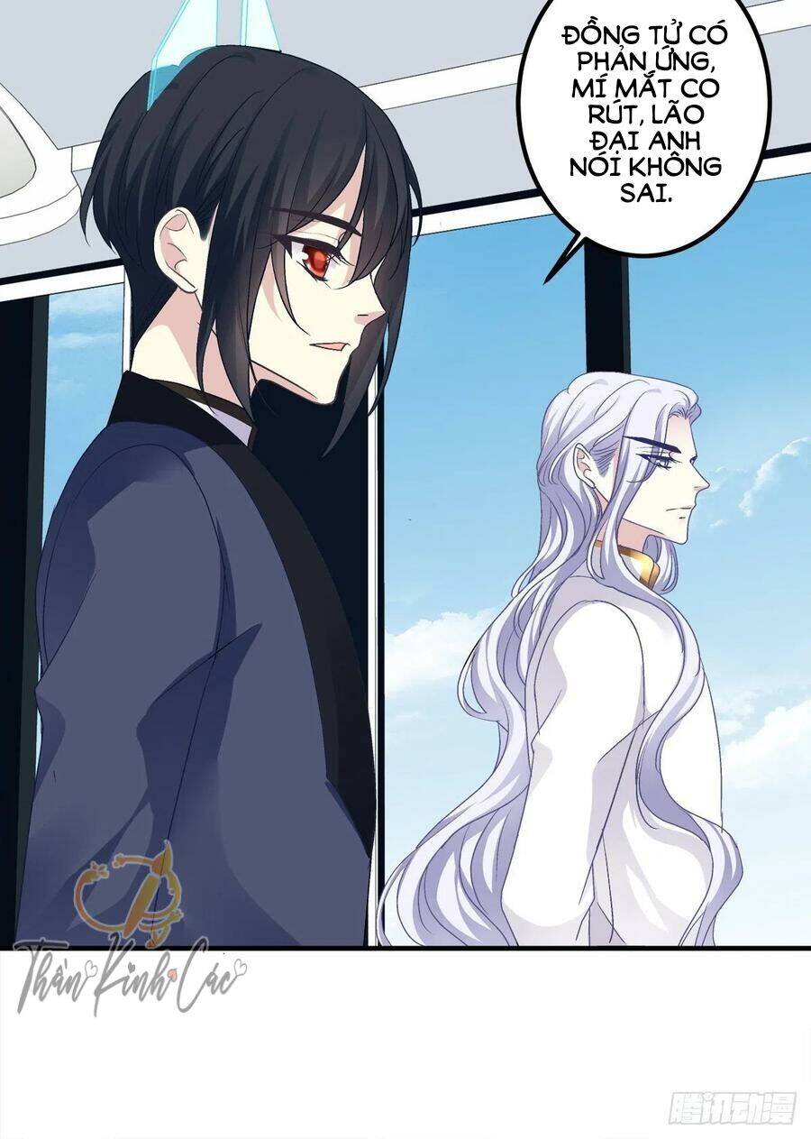 kiểm soát tuyệt đối chapter 47 49