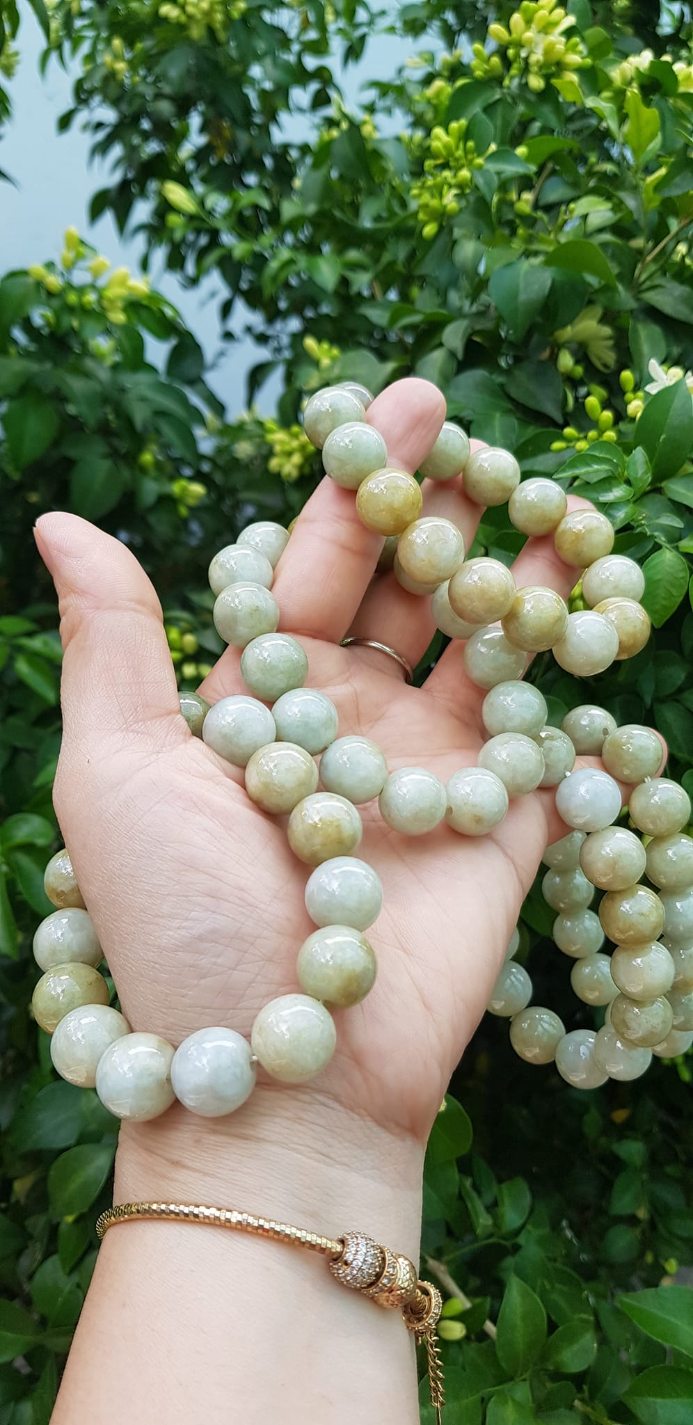 Vòng tay chuỗi nam nữ đá cẩm thạch tự nhiên trắng vàng bóng ngời Vòng size hạt 13mm Màu trắng vàng đất nhẹ bóng mượt thiệt đẹp ạ