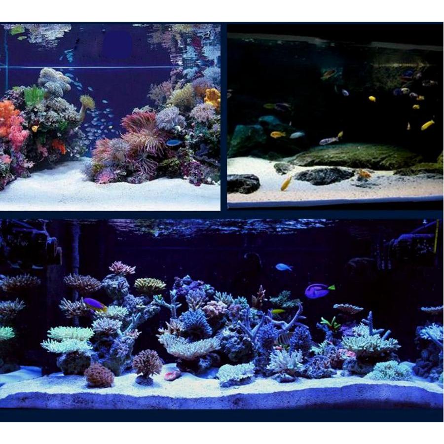 Combo Cát Thạch Anh + Bông Lọc Bể Cá 30x13cm