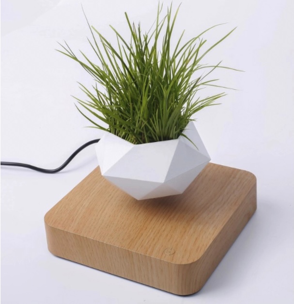 Chậu Cây Bay BonSai Zero W Design thế hệ mới