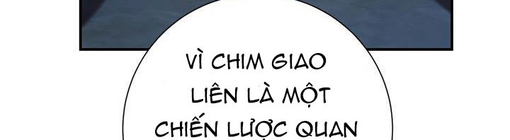 công chúa của loài chim chapter 51.1 309