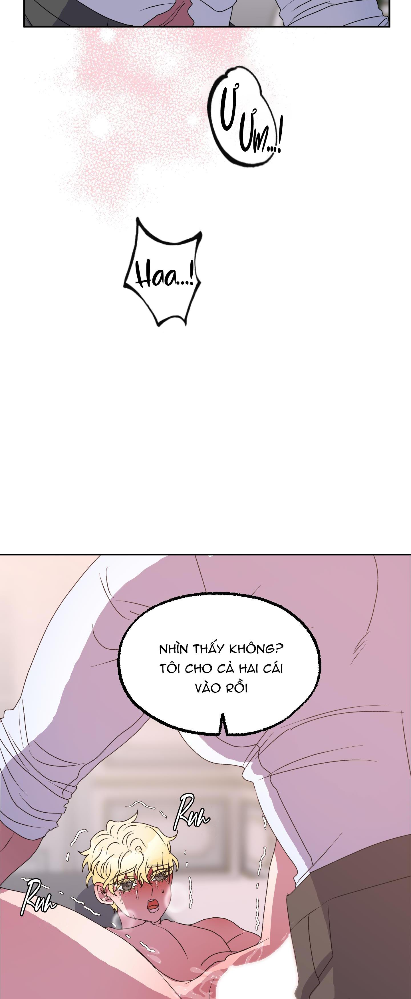 cá mập và cô dâu thỏ chapter 12 12