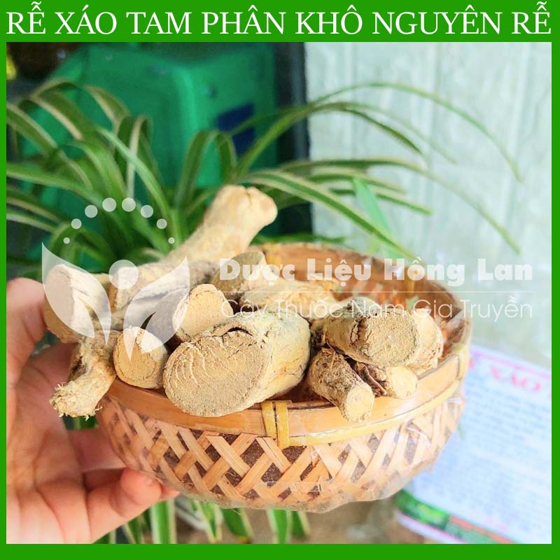 500G Rễ Xáo Tam Phân nguyên rễ khô nguyên chất loại 1
