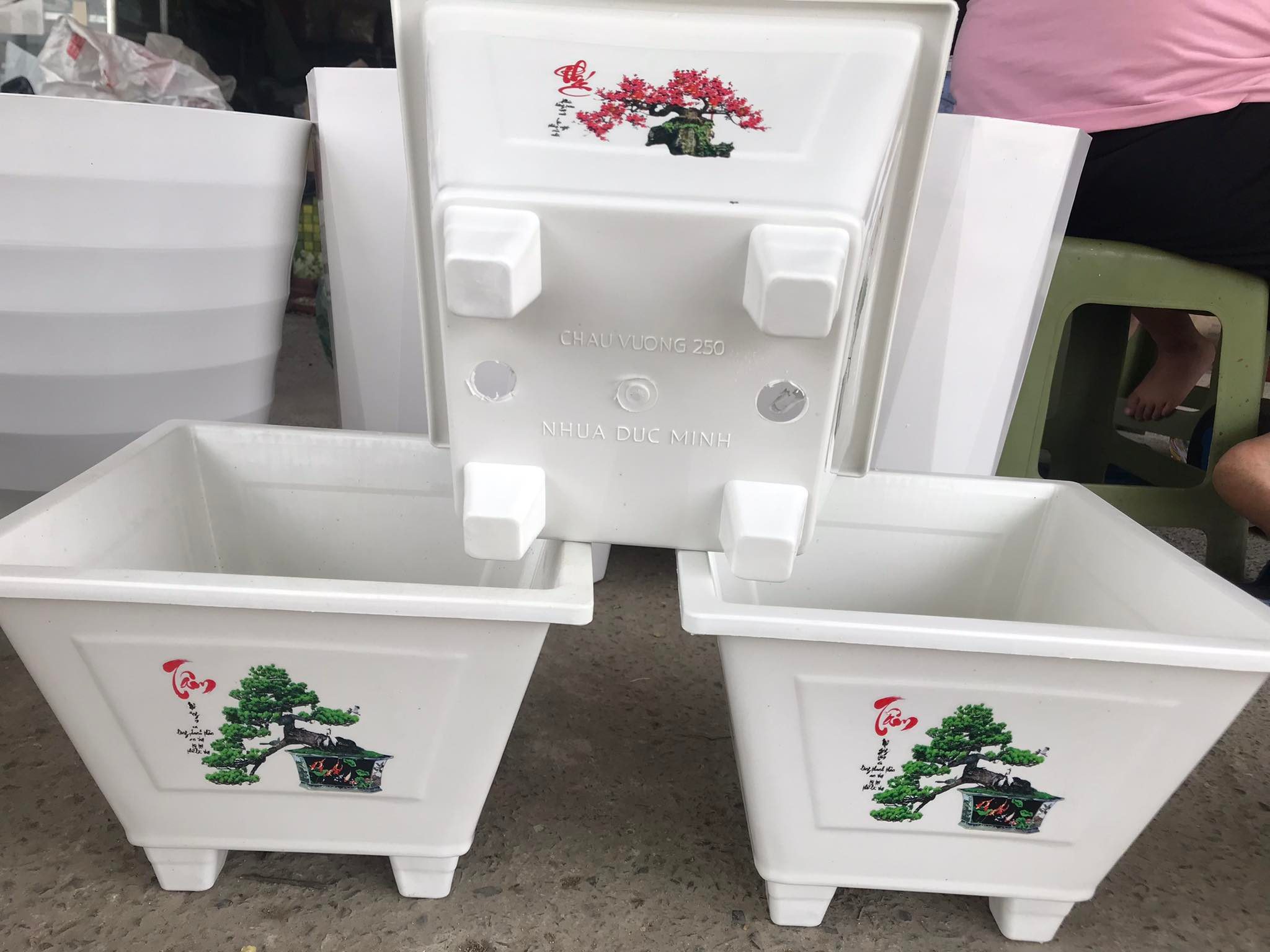 Chậu Nhựa Trồng Hoa Vuông In 250 - Cây Bon Sai - Cây Cảnh
