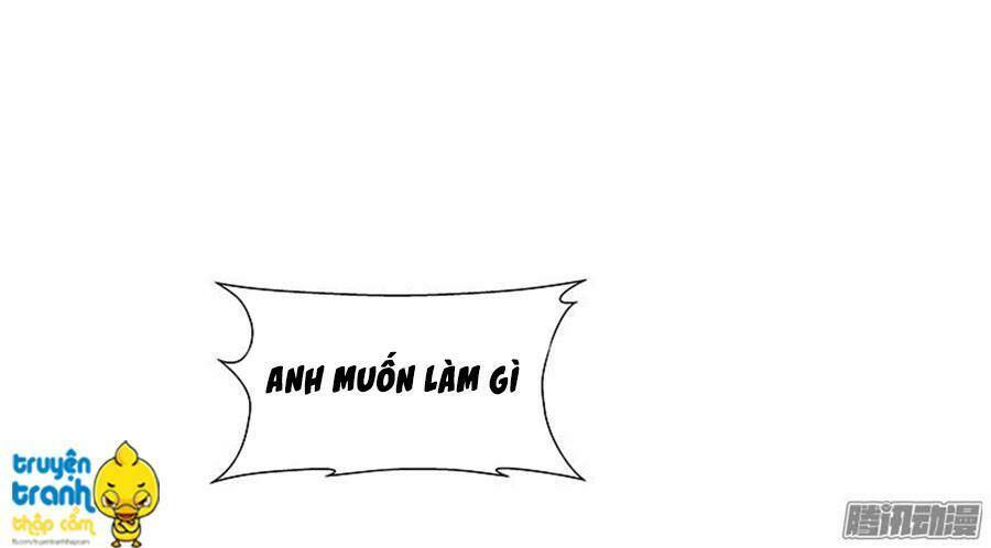 cường sủng hào môn tiểu manh thê chapter 21 23