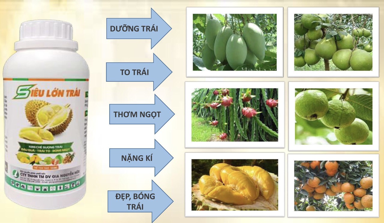 Phân bón lá Siêu Lớn Trái chai 500ML - Giúp trái lớn nhanh, màu đẹp, ngọt trái - Hạn chế sượng trái, nứt/thối trái