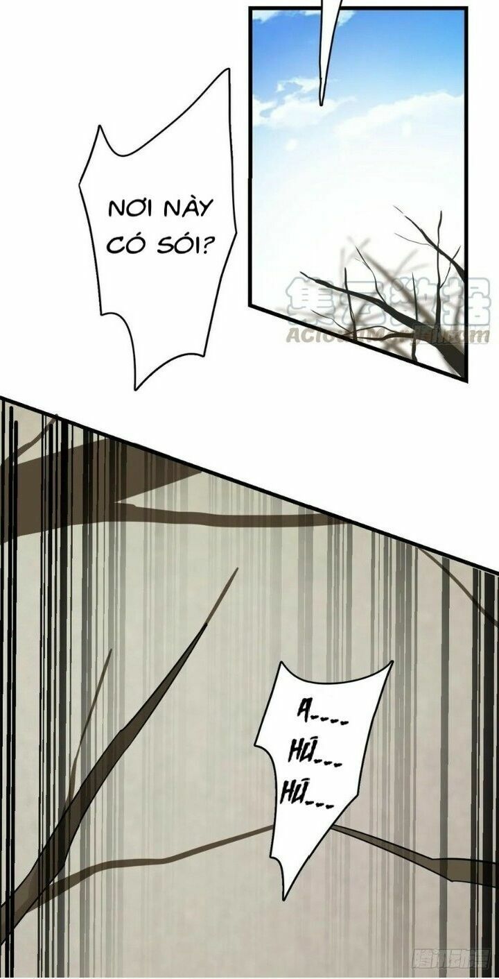 độc bộ thiên hạ: đặc công thần y chapter 203 9