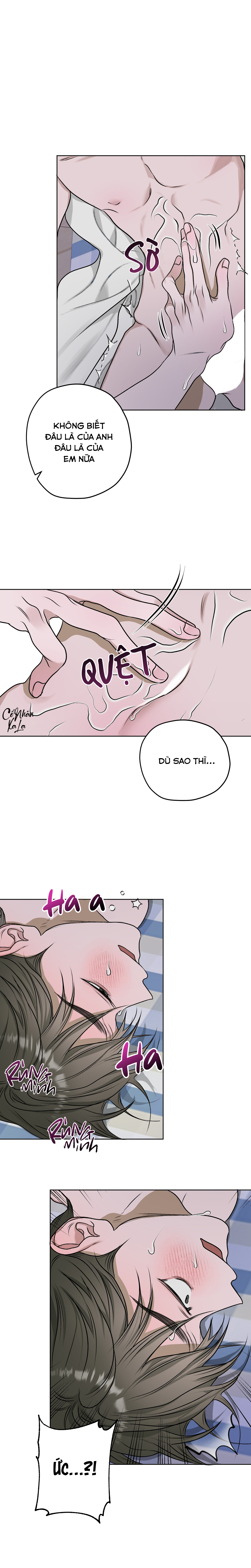 ao hoa chapter 14 11