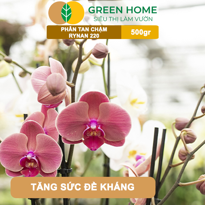 Phân Tan Chậm GreenHome, Rynan 220, Bao 500gr, Dùng Cho Phong Lan Ra Hoa, Hoa Bền Màu