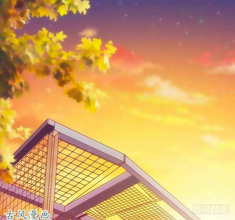 truy phu 36 kế - ông xã à, tới chiến nào! chapter 11 3