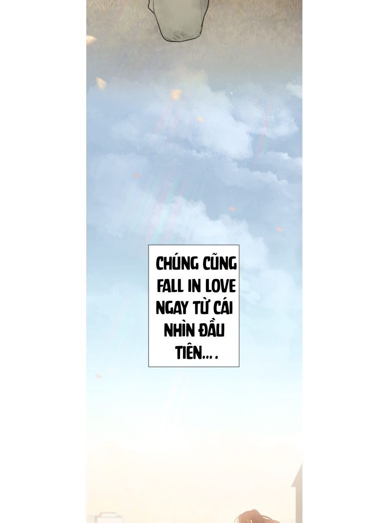 cậu bé người sói chapter 0 11