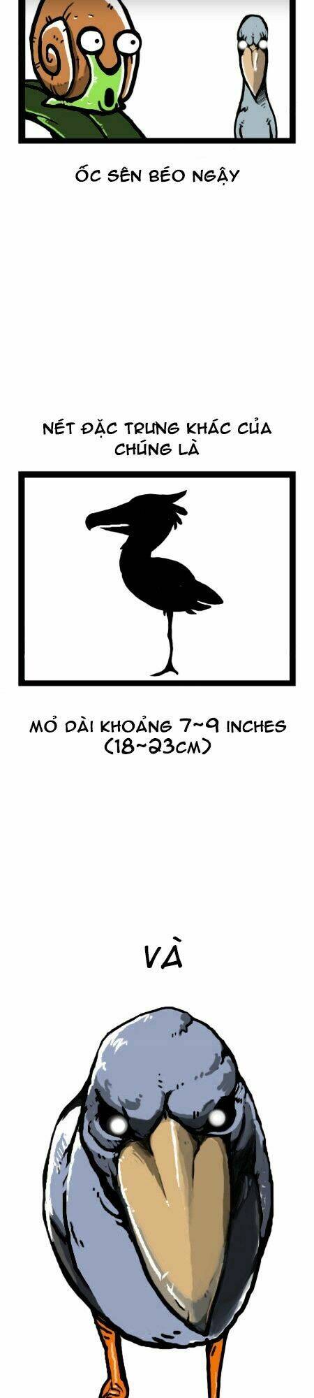 earth, human, and animal chapter 14 14