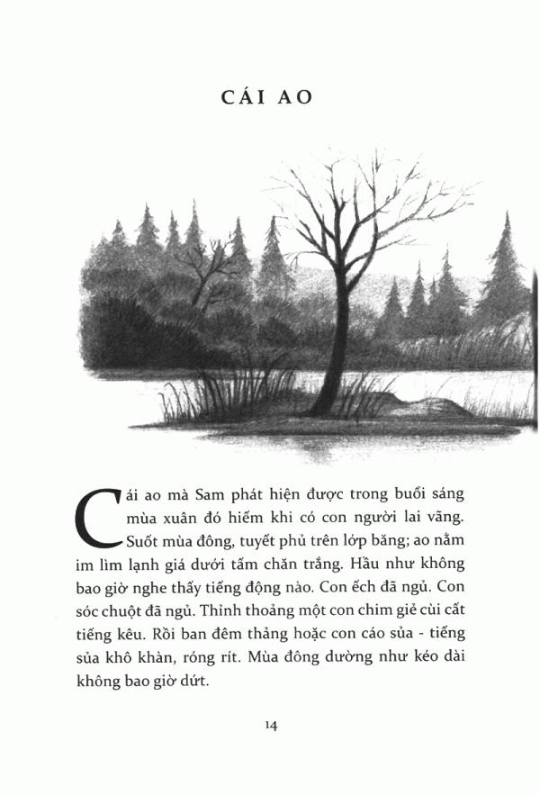 Tiếng Kèn Thiên Nga