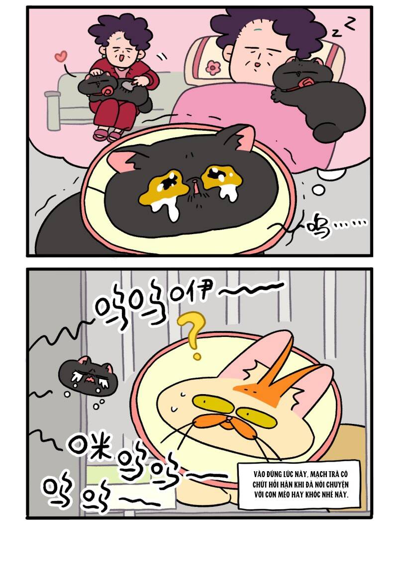 a mãn và mạch trà chapter 19.1 6