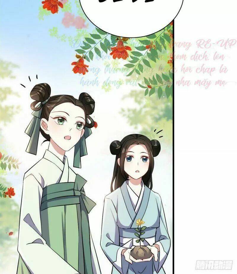 thiều quang mạn chapter 23 12