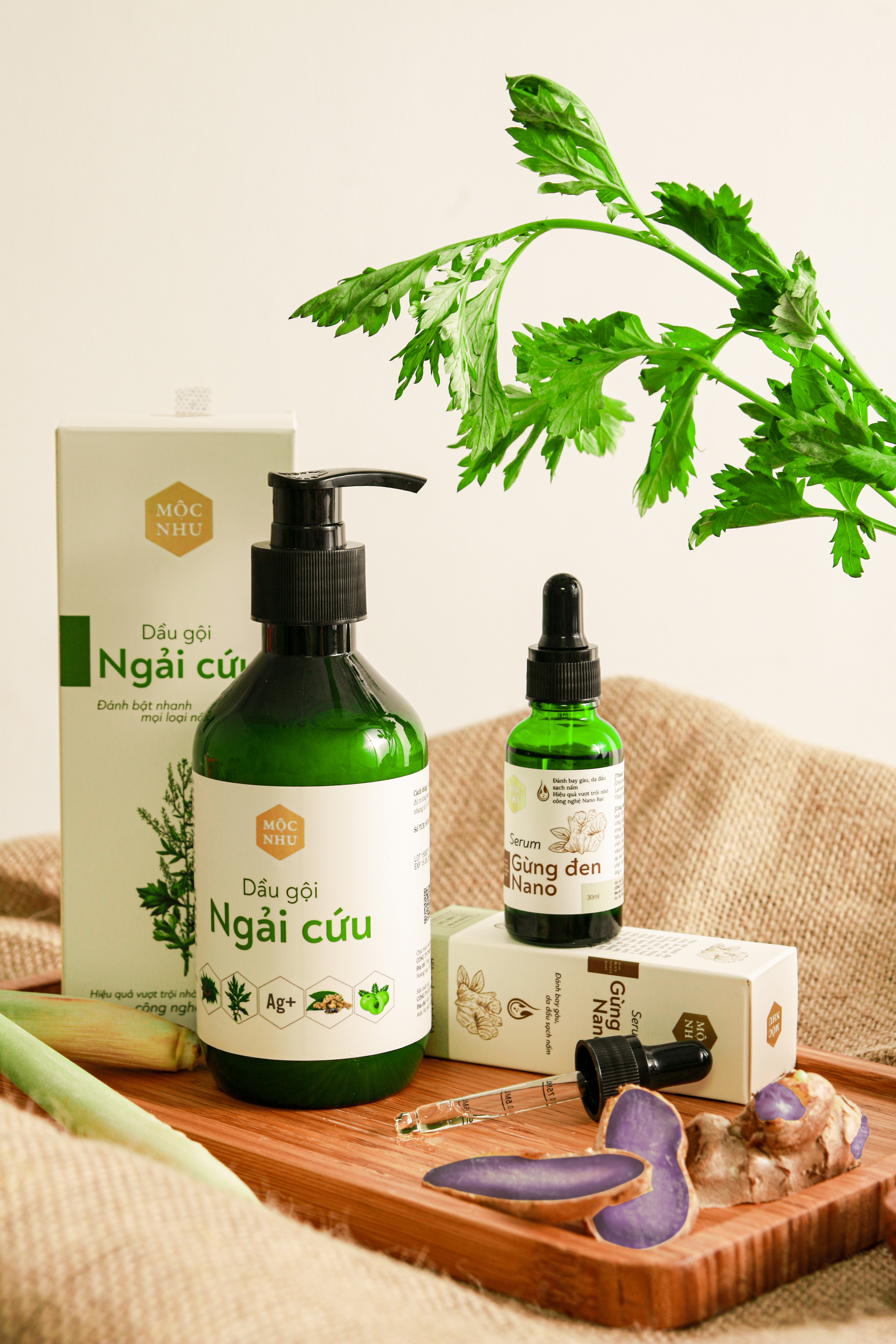 Bộ Đôi Dầu Gội Ngải Cứu và Serum Gừng Đen Nano Mộc Nhu