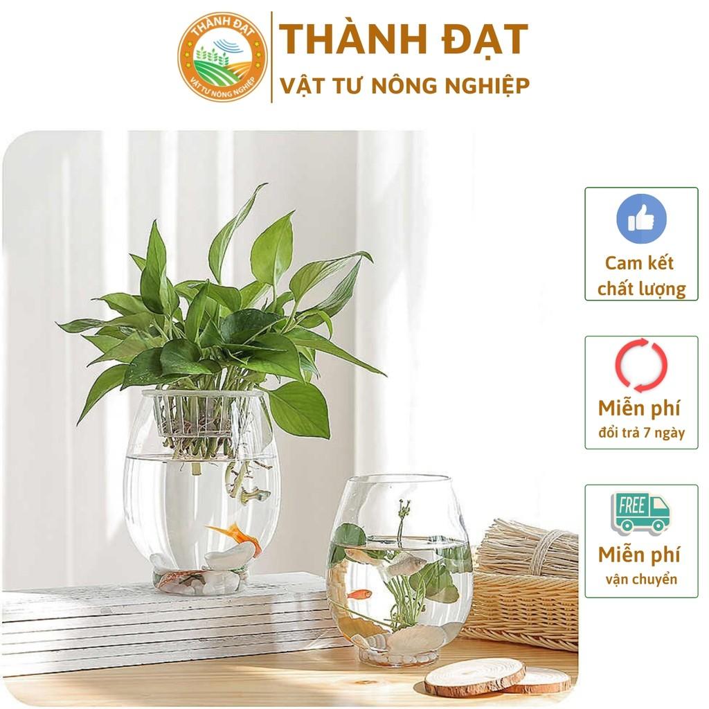 Bình thuỷ tinh cao cấp kèm giá đỡ trồng cây thuỷ sinh, cắm hoa, nuôi cá