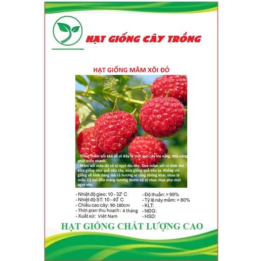 Hạt giống quả mâm xôi đỏ CT298 - Gói 30 hạt