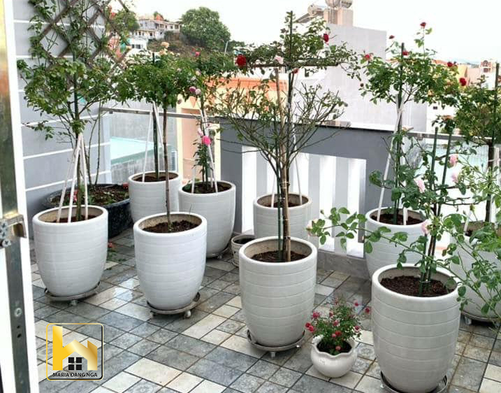 Đế lót chậu cây có bánh xe Đường kính 28cm chịu lực 100kg- Chất liệu inox chống thấm nước, chống rỉ sét có chốt khóa an toàn chống xê dịch
