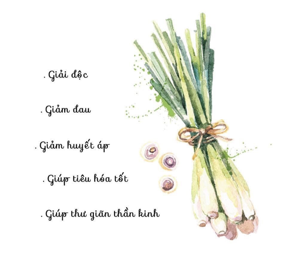 Trà Sả Chanh Gừng - Dành cho mọi người- Ngăn Ngừa Cảm Cúm, Đau họng, Thải Độc Cơ Thể, Tăng Đề Kháng - 50g