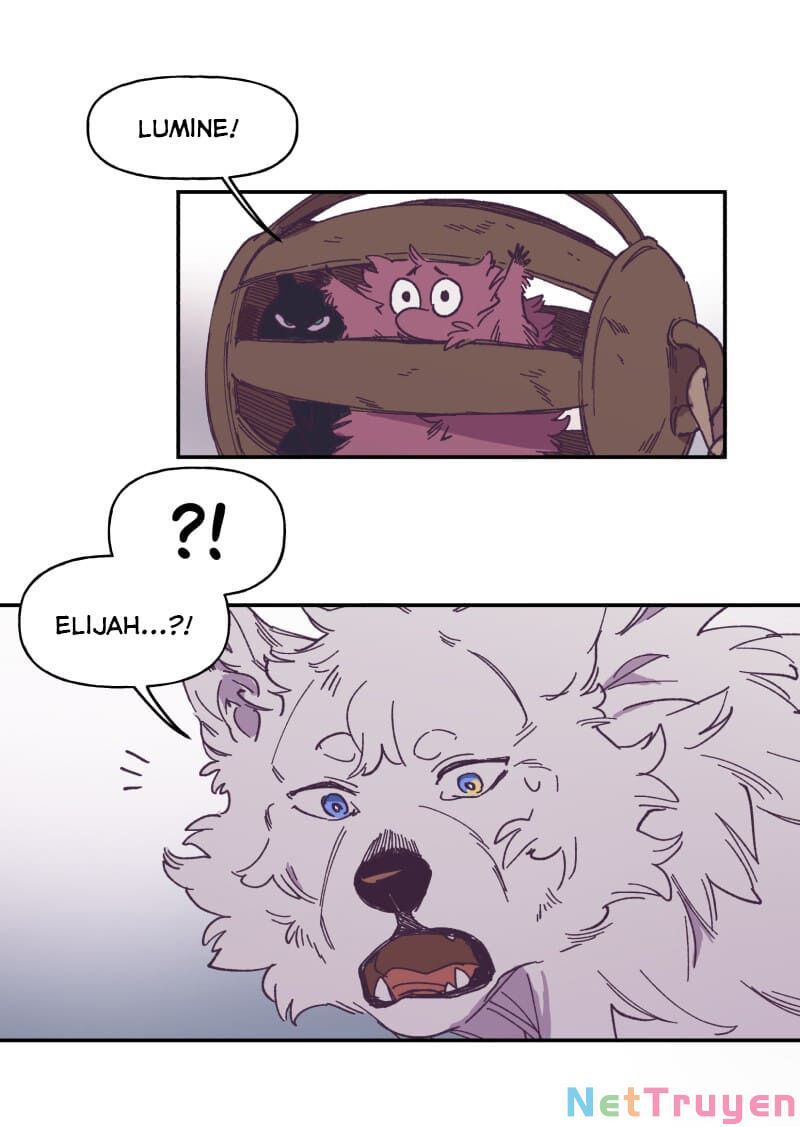 lumine - cội nguồn ánh sáng chapter 116 11