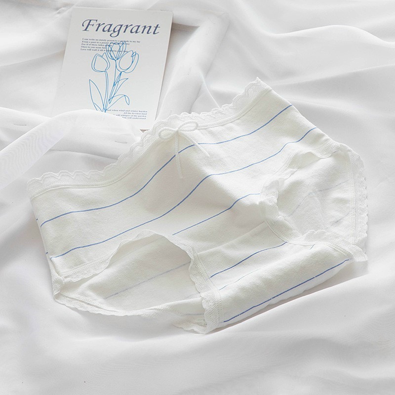 Combo 5 quần lót nữ cotton dễ thương Freesize kẻ xanh da trời