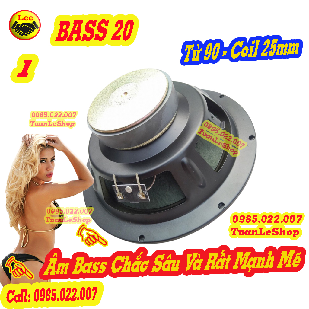 01 LOA BASS 20 MẪU 301 SERI 3 – GIÁ 01 BASS 2 TẤC  SERI III