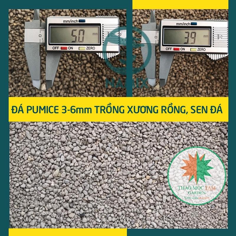 Bao 20Kg Đá Pumice 3-6mm trồng sen đá Namix – Đá bọt size nhỏ chuyên trồng sen đá, xương rồng và các loại cây mọng