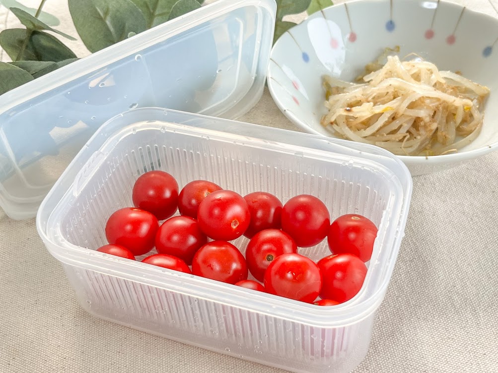 Hộp đựng thực phẩm 2 lớp Nakaya 600ml - Made in Japan