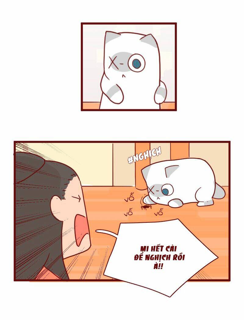 saphie: chú mèo một mắt chapter 17 8