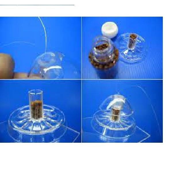 Bẫy ốc hại acrylic cho bể thủy sinh Snail Trap
