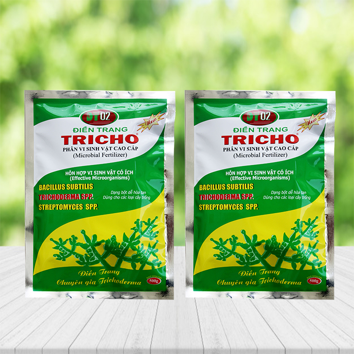 Combo 2 gói chế phẩm vi sinh Trichoderma 500g dạng bột cho hoa lan, hoa hồng, kiểng, cây ăn trái (nấm đối kháng Trichoderma, Bacillus subtilis) phòng ngừa nấm bệnh hại - Microbial fertilzer