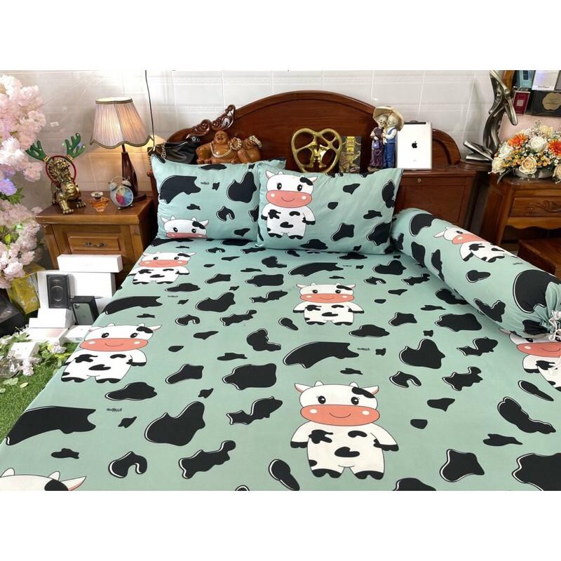 Drap thun hàn quốc