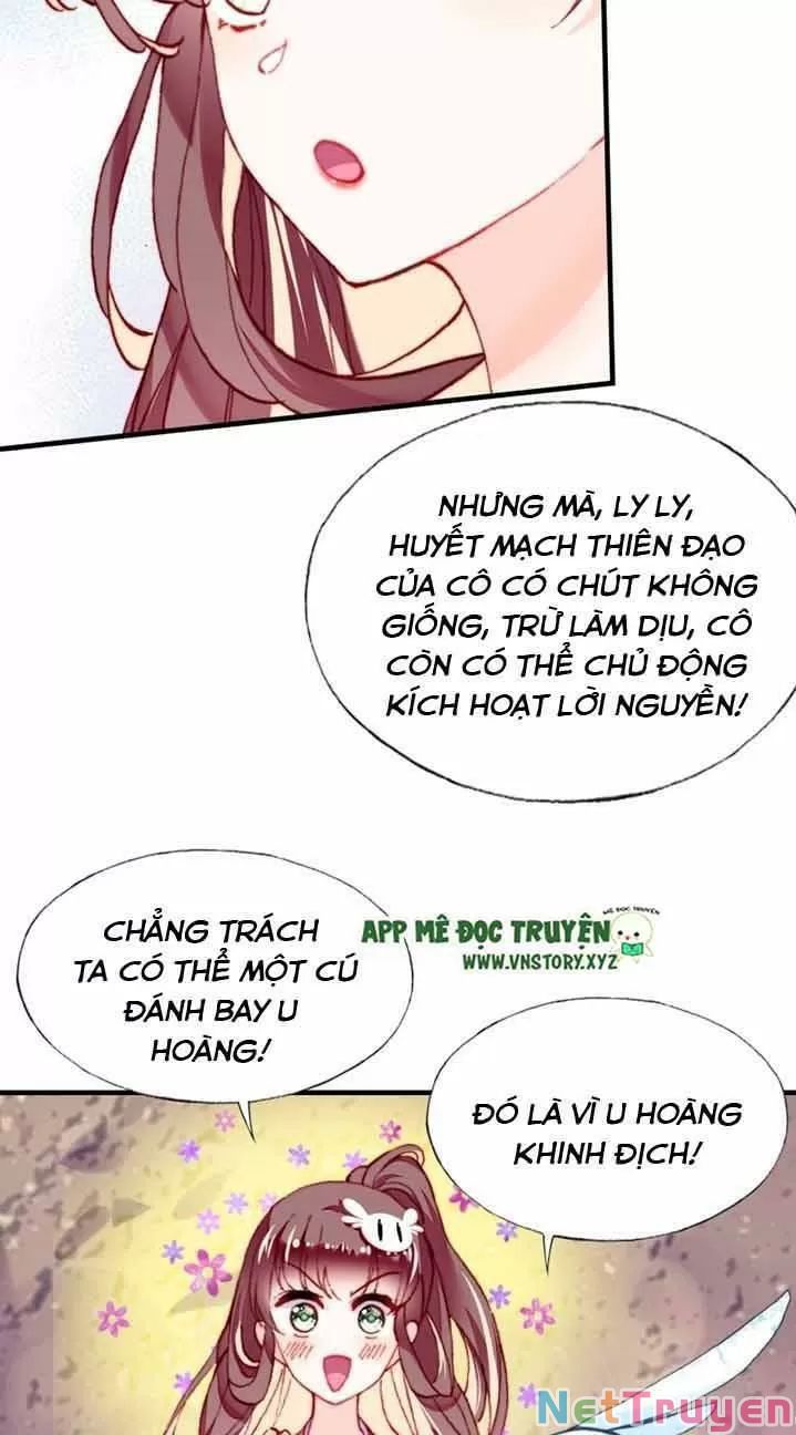 lại bị bệnh chiều chuộng quấn lấy chapter 13 25