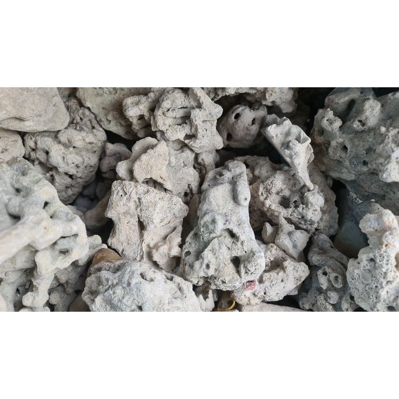 1kg Đá San Hô Dùng Làm Layout Cho Bể Nước Mặn