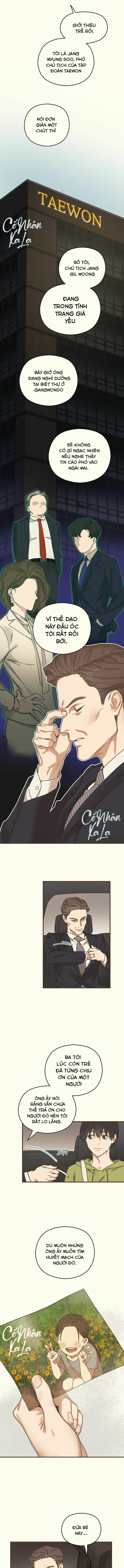 trùng phùng chapter 1 6