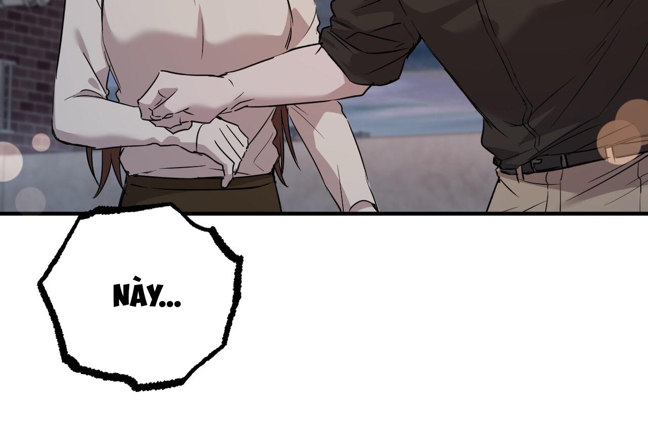 những chú thỏ của hapypy chapter 58 73