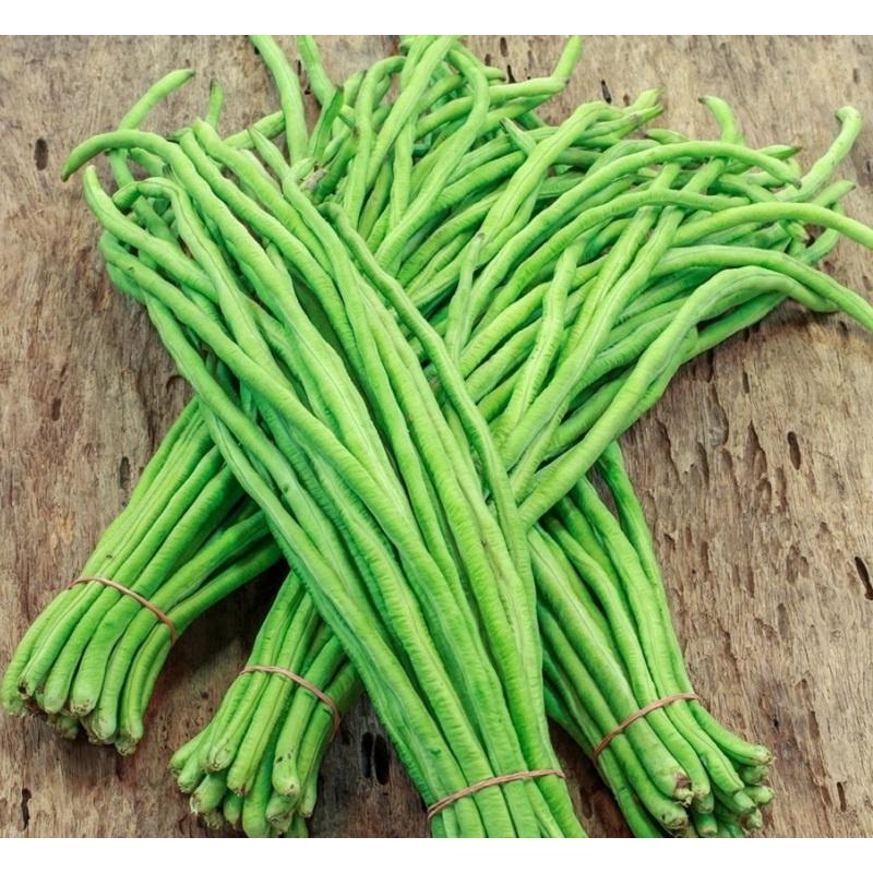 Gói 20g Hạt giống đậu đũa xanh F1, đậu đũa cao sản