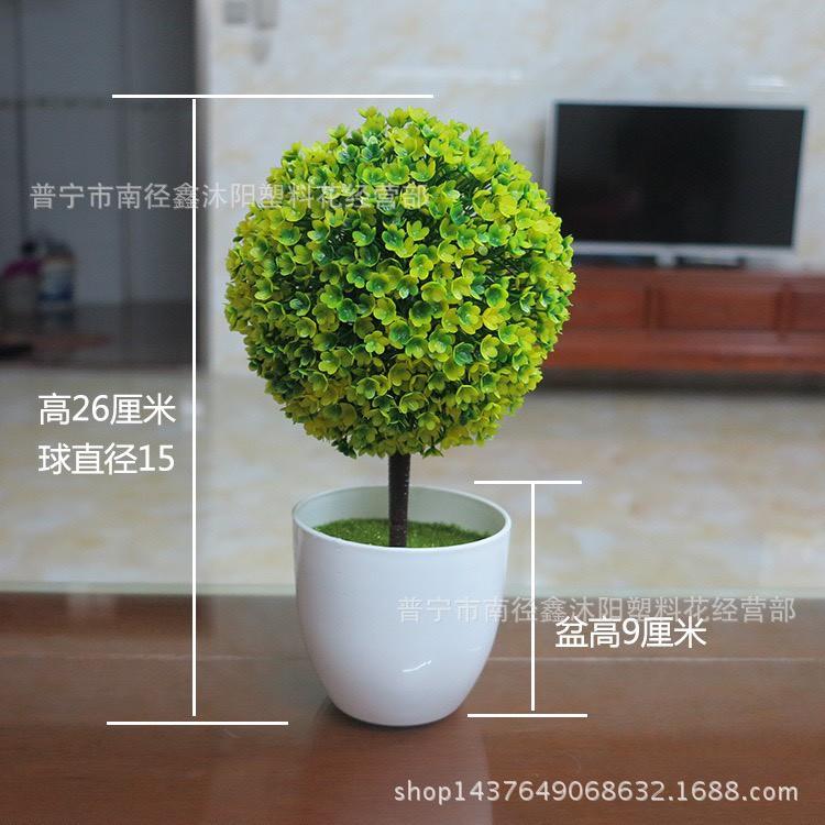 Chậu hoa cẩm tú cầu để bàn, để trang trí kệ treo tường .