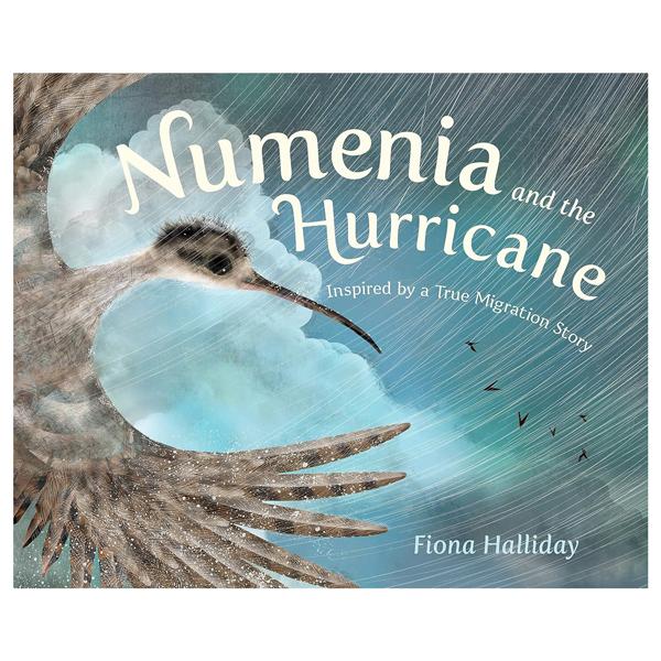 Sách ngoại văn: Numeria And The Hurricane - Inspired By A True Migration Story