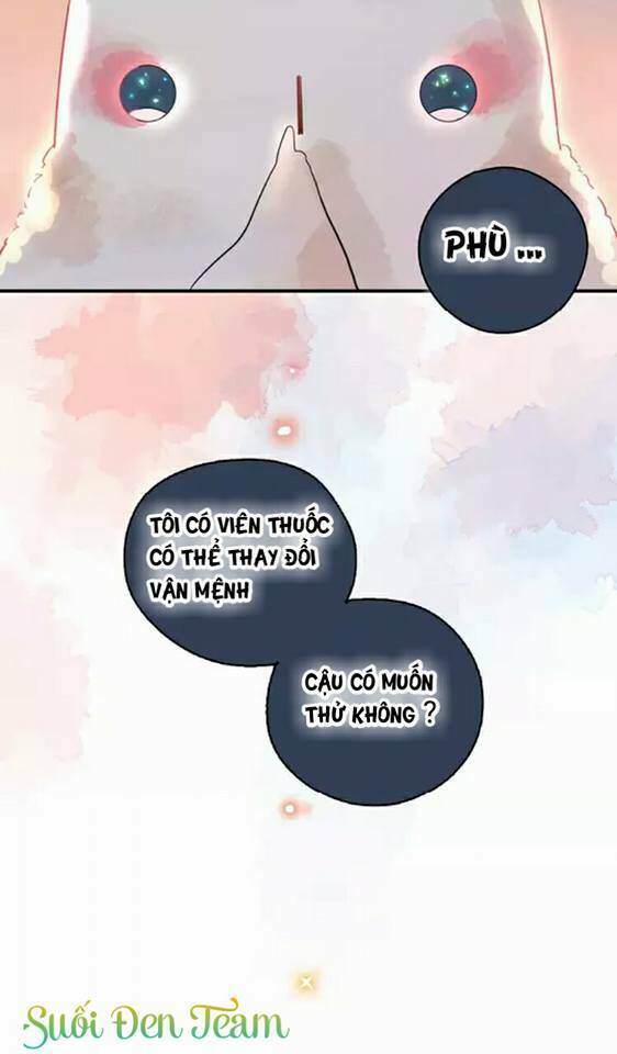 dolo mệnh vận giao nang chapter 1.6 4