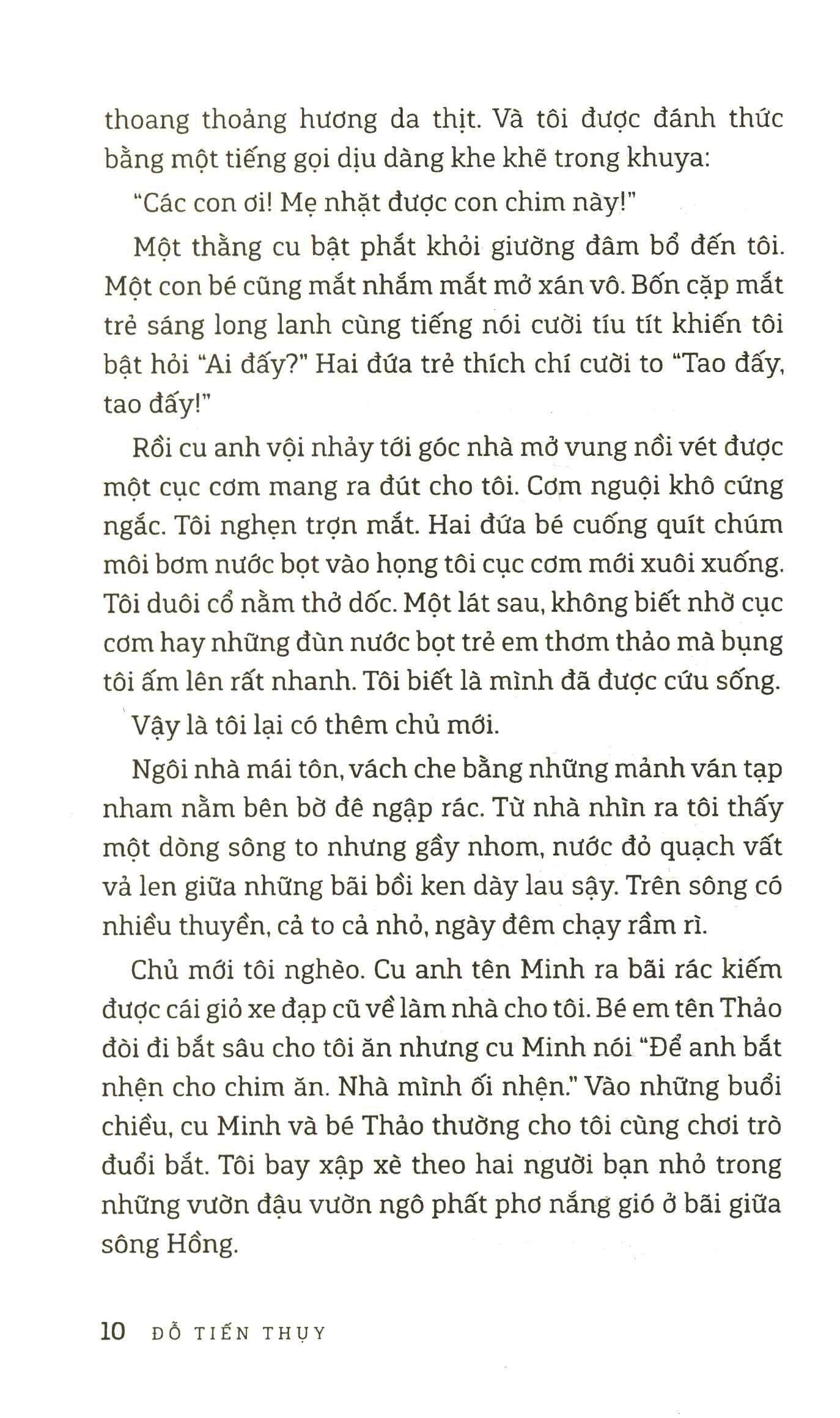 Sách Con Chim Joong Bay Từ A Đến Z