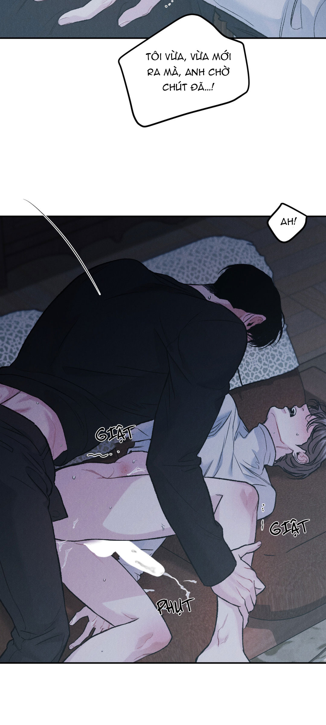 limited run chapter 28 47