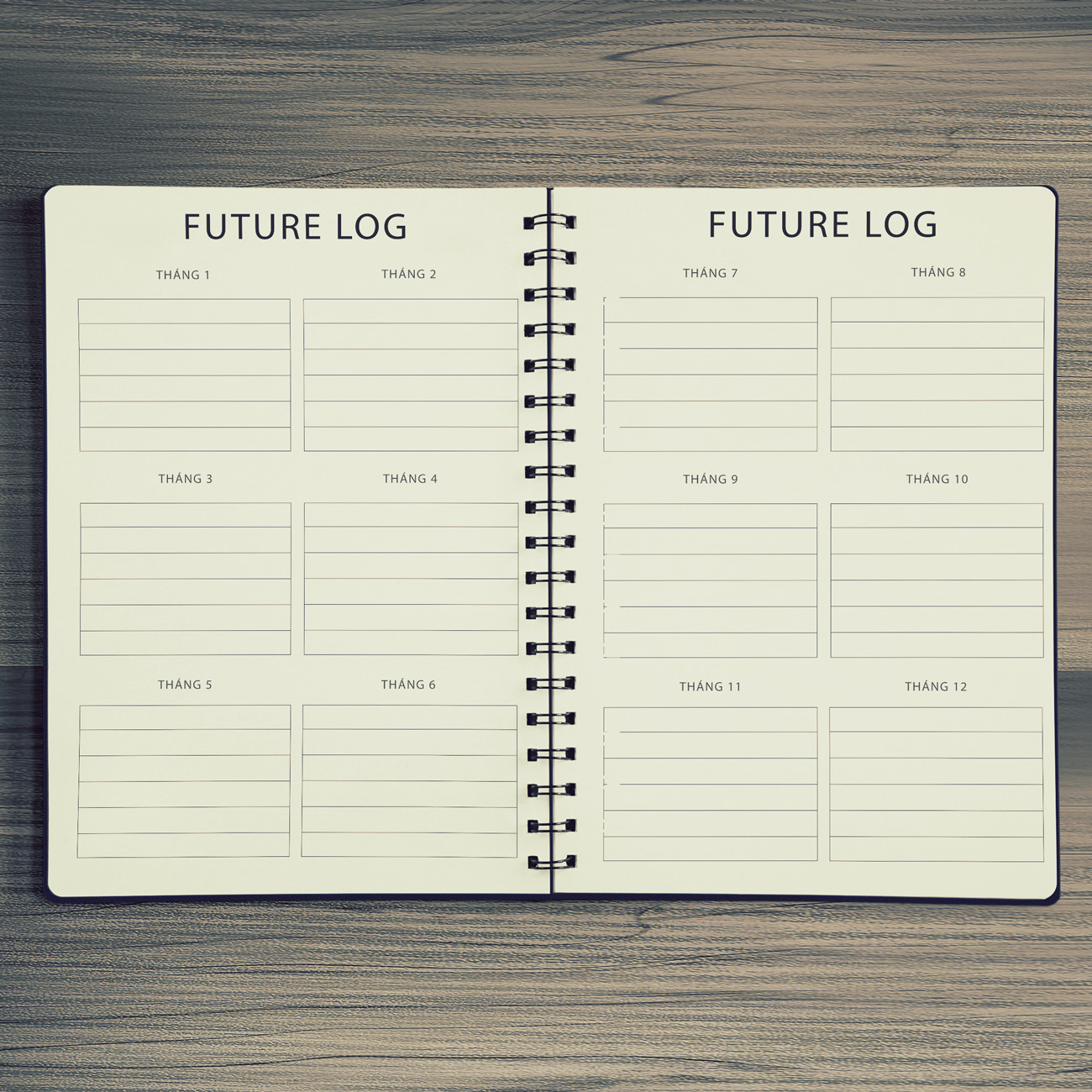 Sổ tay bullet journal cho người bắt đầu, kẻ sẵn future log, monthly log, weekly log, habit tracker